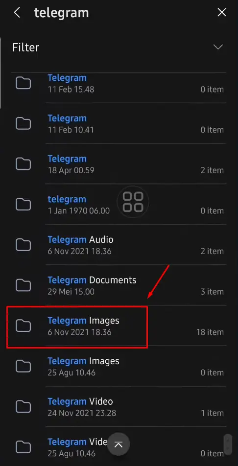 Folder Telegram Images