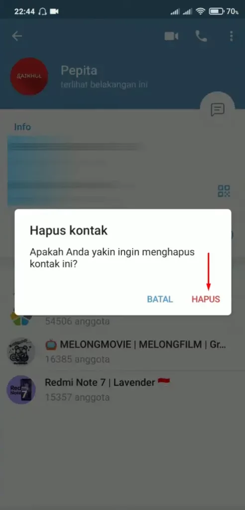 Konfirmasi Hapus Kontak Telegram Android