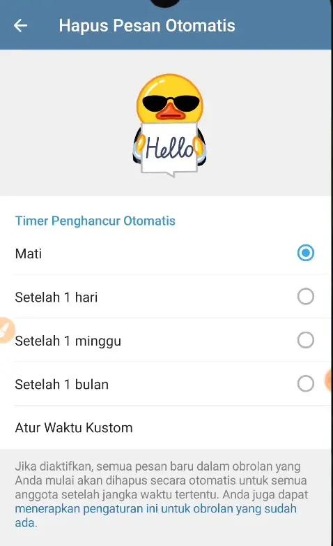 Timer Penghancur Otomatis Telegram