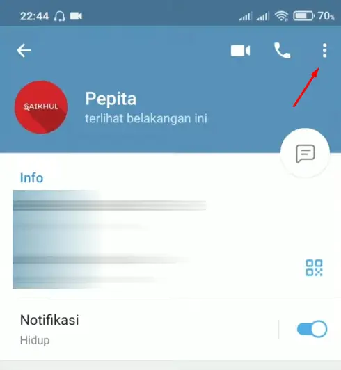 Titik Tiga Profil Telegram Android